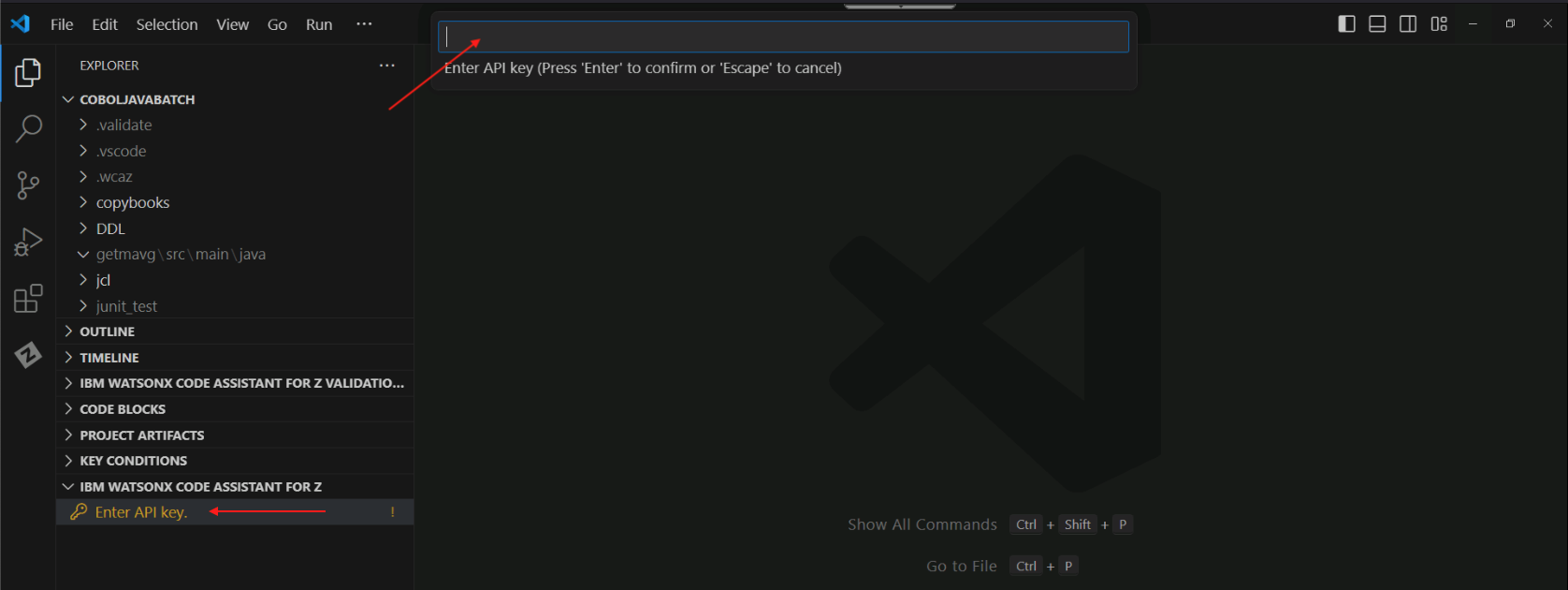 vscode-apikey-prompt